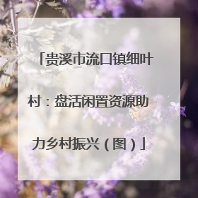 贵溪市流口镇细叶村：盘活闲置资源助力乡村振兴（图）