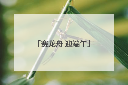 赛龙舟 迎端午