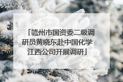 赣州市国资委二级调研员黄晓东赴中国化学江西公司开展调研