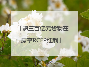 超三百亿元货物在厦享RCEP红利