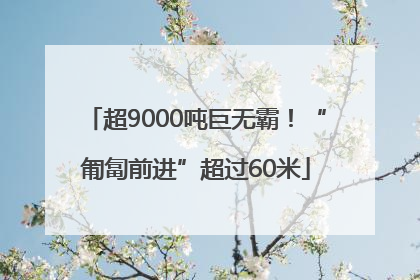 超9000吨巨无霸！“匍匐前进”超过60米