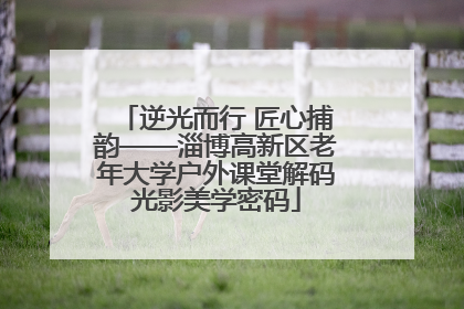 逆光而行 匠心捕韵——淄博高新区老年大学户外课堂解码光影美学密码