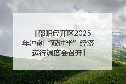 邵阳经开区2025年冲刺“双过半”经济运行调度会召开