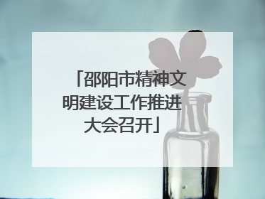 邵阳市精神文明建设工作推进大会召开