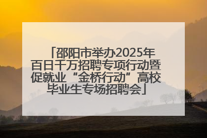 邵阳市举办2025年百日千万招聘专项行动暨促就业“金桥行动”高校毕业生专场招聘会