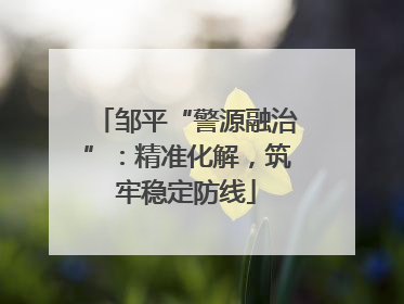 邹平“警源融治”：精准化解，筑牢稳定防线