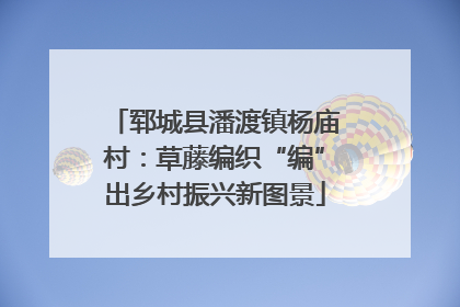 郓城县潘渡镇杨庙村：草藤编织“编”出乡村振兴新图景
