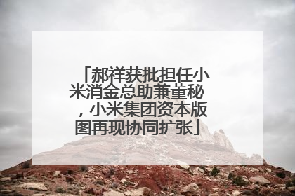 郝祥获批担任小米消金总助兼董秘，小米集团资本版图再现协同扩张
