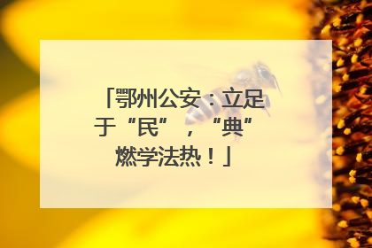 鄂州公安：立足于“民”，“典”燃学法热！