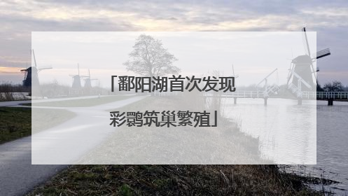 鄱阳湖首次发现彩鹮筑巢繁殖