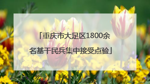 重庆市大足区1800余名基干民兵集中接受点验
