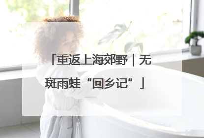 重返上海郊野｜无斑雨蛙“回乡记”
