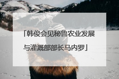 韩俊会见秘鲁农业发展与灌溉部部长马内罗