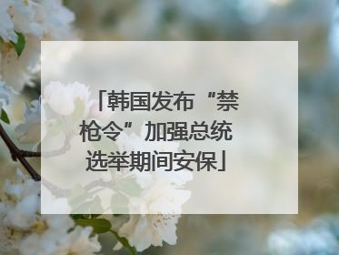 韩国发布“禁枪令”加强总统选举期间安保