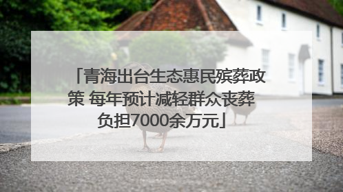 青海出台生态惠民殡葬政策 每年预计减轻群众丧葬负担7000余万元