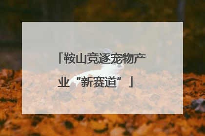 鞍山竞逐宠物产业“新赛道”