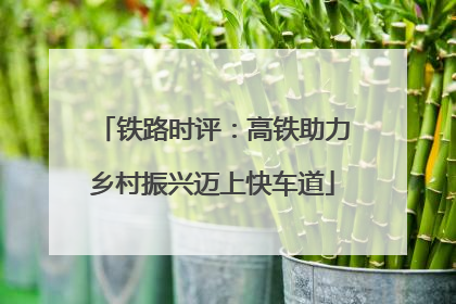 铁路时评：高铁助力乡村振兴迈上快车道