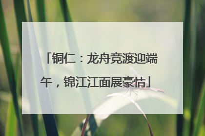 铜仁：龙舟竞渡迎端午，锦江江面展豪情