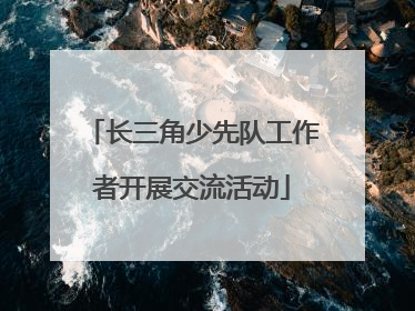 长三角少先队工作者开展交流活动