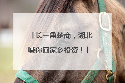 长三角楚商，湖北喊你回家乡投资！