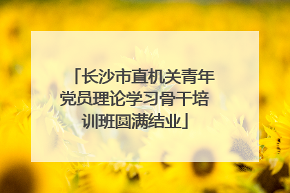 长沙市直机关青年党员理论学习骨干培训班圆满结业