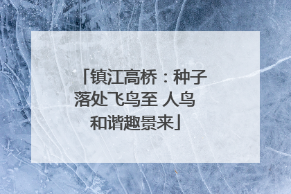 镇江高桥：种子落处飞鸟至 人鸟和谐趣景来