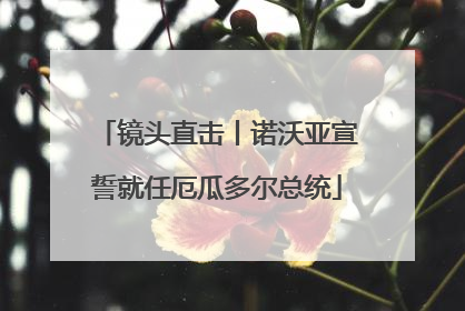 镜头直击丨诺沃亚宣誓就任厄瓜多尔总统