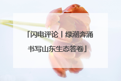闪电评论丨绿潮奔涌 书写山东生态答卷