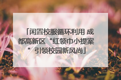 闲置校服循环利用 成都高新区“红领巾小提案”引领校园新风尚