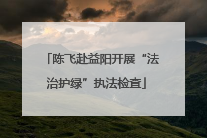 陈飞赴益阳开展“法治护绿”执法检查