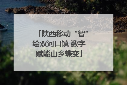 陕西移动“智”绘双河口镇 数字赋能山乡蝶变