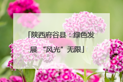 陕西府谷县：绿色发展 “风光”无限