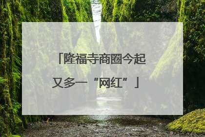 隆福寺商圈今起又多一“网红”