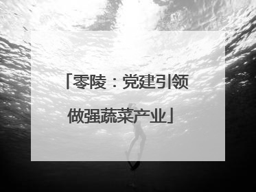 零陵：党建引领 做强蔬菜产业