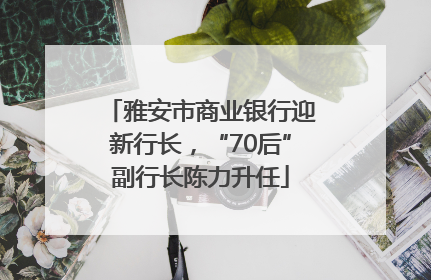 雅安市商业银行迎新行长，“70后”副行长陈力升任
