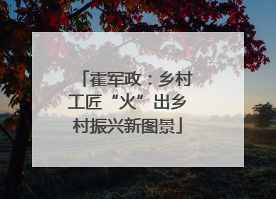 霍军政：乡村工匠“火”出乡村振兴新图景