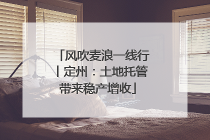 风吹麦浪一线行丨定州：土地托管带来稳产增收