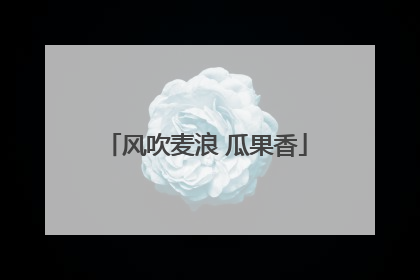 风吹麦浪 瓜果香