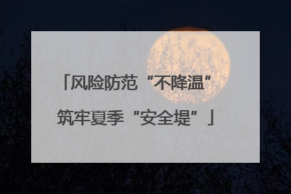 风险防范“不降温” 筑牢夏季“安全堤”