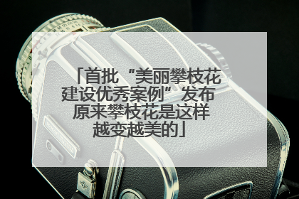 首批“美丽攀枝花建设优秀案例”发布 原来攀枝花是这样越变越美的