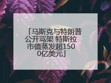 马斯克与特朗普公开骂架 特斯拉市值蒸发超1500亿美元