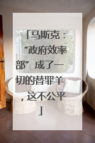 马斯克：“政府效率部”成了一切的替罪羊，这不公平