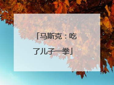 马斯克：吃了儿子一拳
