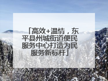高效+温情，东平县州城街道便民服务中心打造为民服务新标杆