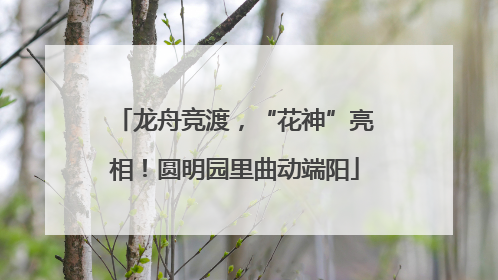 龙舟竞渡，“花神”亮相！圆明园里曲动端阳