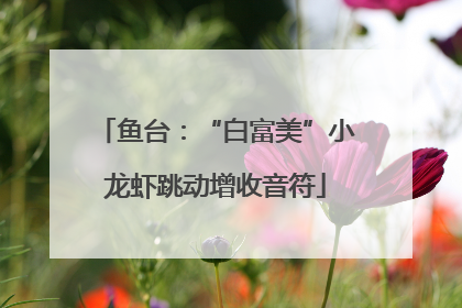 鱼台：“白富美”小龙虾跳动增收音符