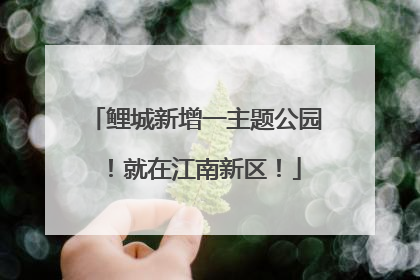 鲤城新增一主题公园！就在江南新区！