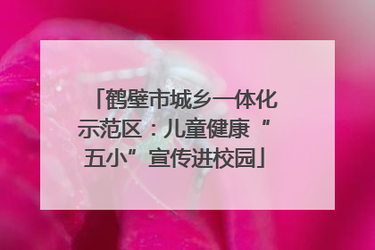 鹤壁市城乡一体化示范区：儿童健康“五小”宣传进校园