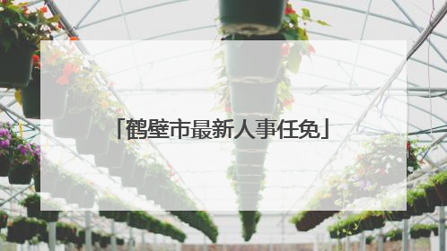 鹤壁市最新人事任免