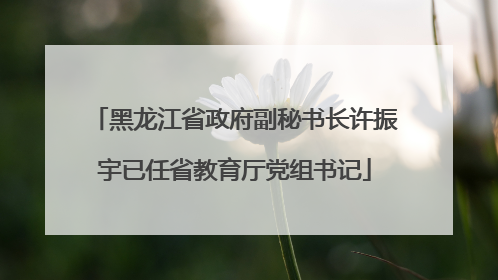 黑龙江省政府副秘书长许振宇已任省教育厅党组书记